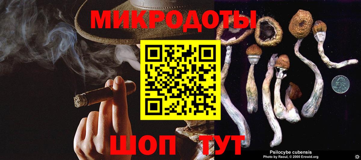Кольчугино  где продают наркотики  Вход с VPN  Галлюциногенные грибы MAGIC MUSHROOMS 