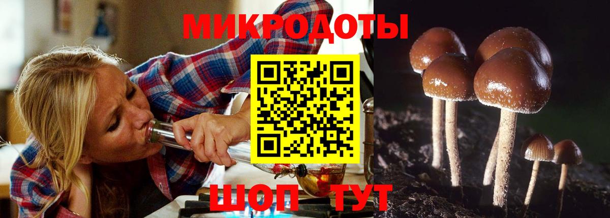 Галлюциногенные грибы Cubensis Кольчугино